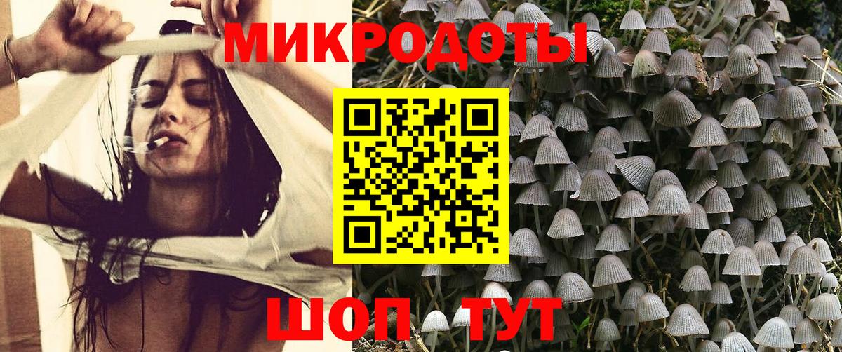 Реутов  Галлюциногенные грибы Psilocybe  Псилоцибиновые грибы мухоморы  Вход с VPN 